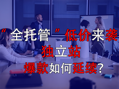 全托管低價來襲，獨立站爆款如何延續(xù)？